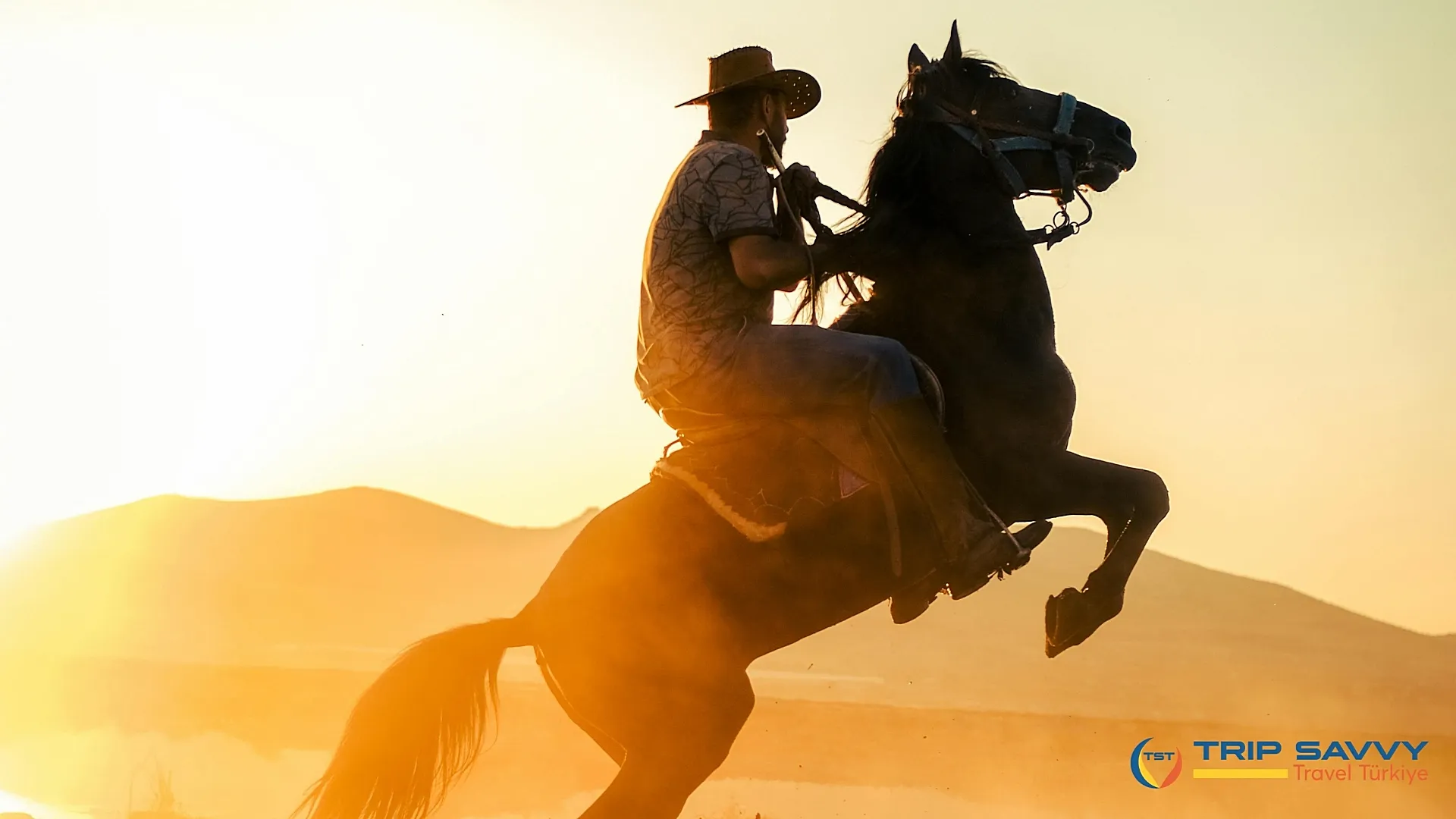 Sunset Horse Riding Tour