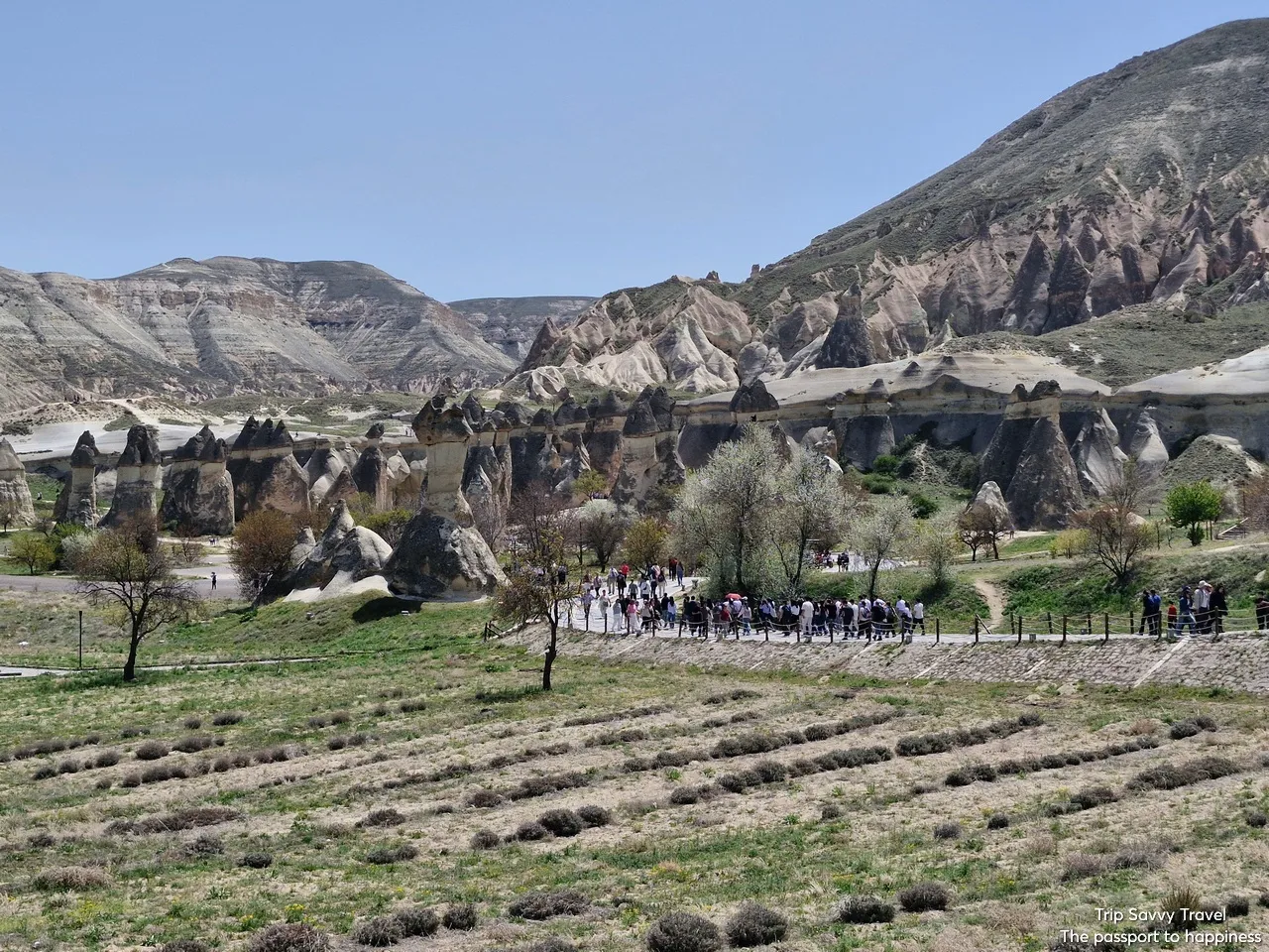 All in One Kapadokya Özel Tur  - Фото 16